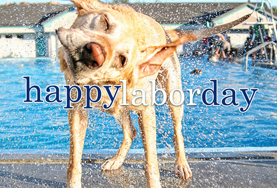 happy labrador day